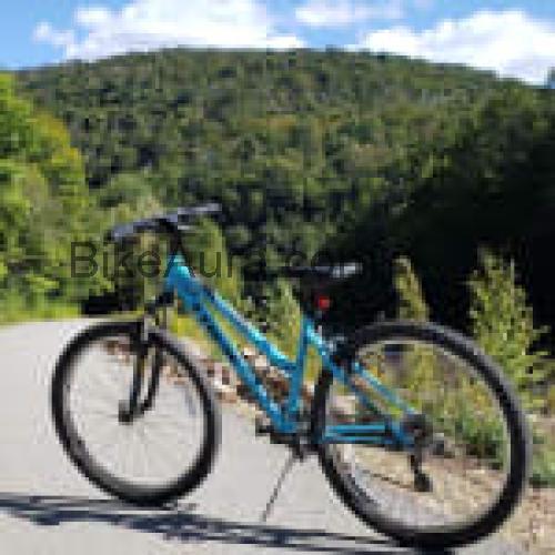 Trek 820 WSD ficha tecnica